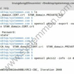 how-to-convert-ssl-nginx-cert-to-iis-cert-150x150 How to convert SSL Nginx cert to IIS cert 