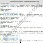 how-to-convert-ssl-nginx-cert-to-tomcat-cert-150x150 How to convert SSL Nginx cert to Tomcat cert 