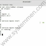 how-to-install-latest-nginx-in-centos-6-150x150 How to install latest Nginx in CentOS 6 